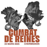 Combat Reine